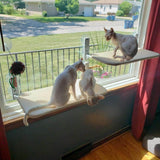 Window-Mount Cat Hammock - Gentle Paws