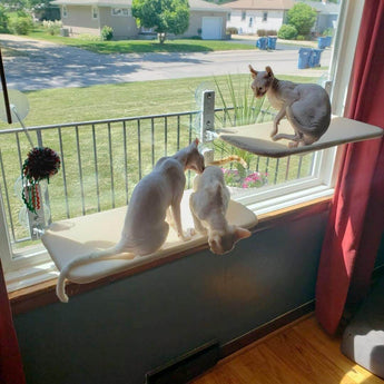 Window-Mount Cat Hammock - Gentle Paws