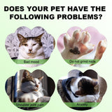 Soothing Natural Catnip Spray - Gentle Paws