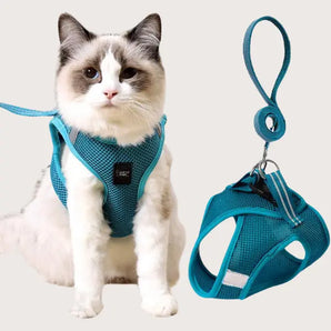 Anti Strike Harness & Leash