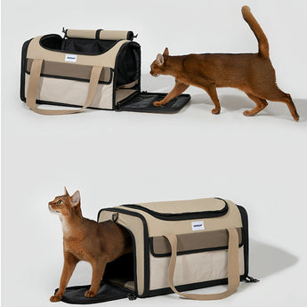 Airline Approved Carrier - Gentle Paws