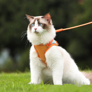 No-Escape Cat Harness & Leash - Gentle Paws