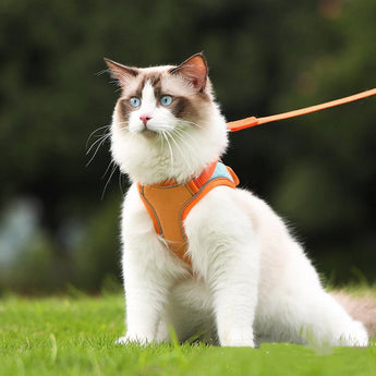 No-Escape Cat Harness & Leash - Gentle Paws