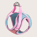 No-Escape Cat Harness & Leash - Gentle Paws