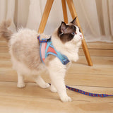No-Escape Cat Harness & Leash - Gentle Paws