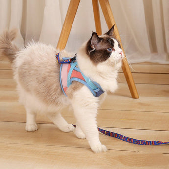 No-Escape Cat Harness & Leash - Gentle Paws