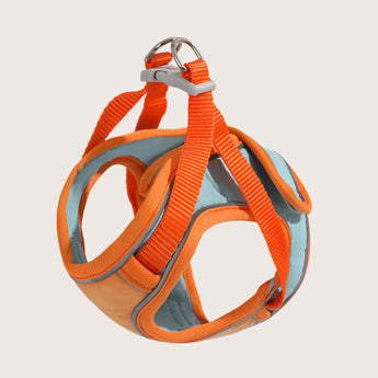 No-Escape Cat Harness & Leash - Gentle Paws