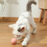 Floating Cat Toy Ball - Gentle Paws