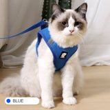Anti Strike Harness & Leash - Gentle Paws