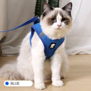 Anti Strike Harness & Leash - Gentle Paws