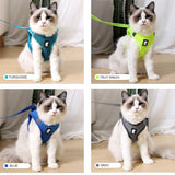 Anti Strike Harness & Leash - Gentle Paws