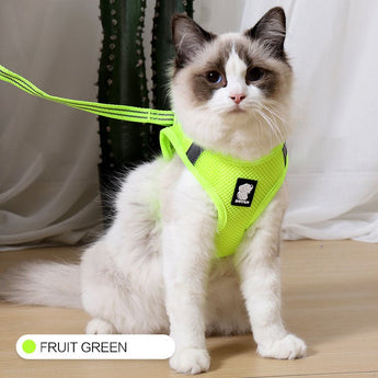 Anti Strike Harness & Leash - Gentle Paws