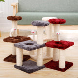 Multi-Level Cat Climbing Wall - Gentle Paws