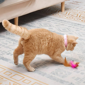 Lightweight Cat Collar Toy - Gentle Paws