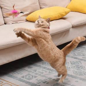 Lightweight Cat Collar Toy - Gentle Paws