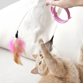 Lightweight Cat Collar Toy - Gentle Paws