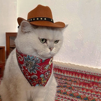 Western Style Cat Outfit - Gentle Paws