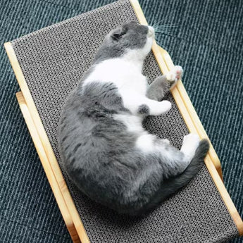 Durable Cat Scratch Board - Gentle Paws