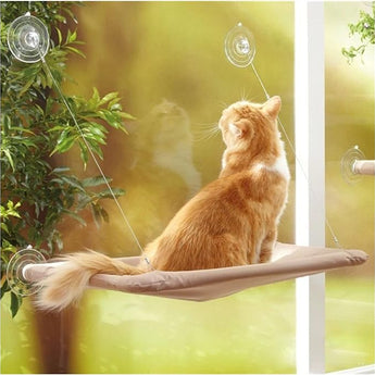 Sunbathing Window Cat Bed - Gentle Paws