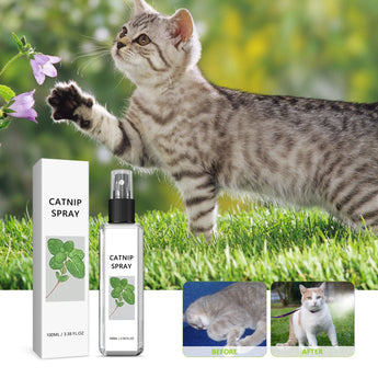 Soothing Natural Catnip Spray - Gentle Paws