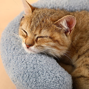 Soft Plush Cat Pillow - Gentle Paws