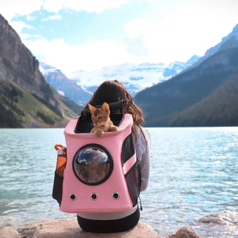 Breathable Astronaut Cat Backpack - Gentle Paws