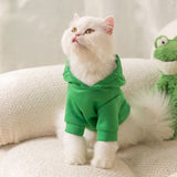 Frog Cat Hoodie - Gentle Paws