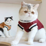 Soft Fleece Cat V-Neck Pullover - Gentle Paws