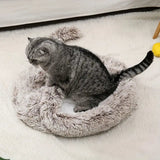 Half-Closed Cat Nest - Gentle Paws