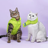 Windproof Cat Winter Coat - Gentle Paws