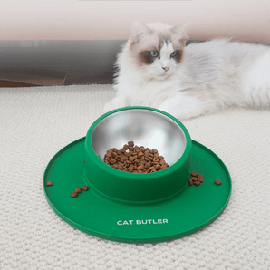 Non-Spill Silicone Travel Bowl - Gentle Paws
