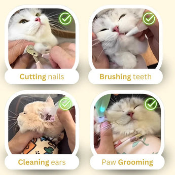 Ultra-Absorbent Cat Purrito Towel - Gentle Paws