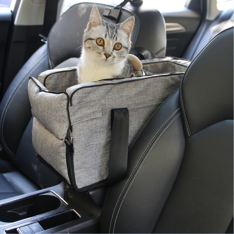 Taking Your Cat on Car Adventures: A Guide to Cat Car Safety