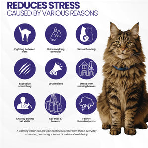 2x Pheromone Cat Calming Collars
