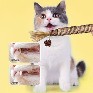 Silvervine Cat Chew Sticks (3-Pack)