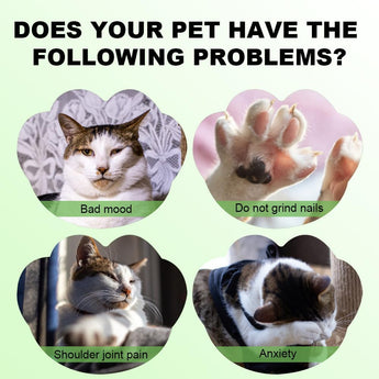 Soothing Natural Catnip Spray - Gentle Paws