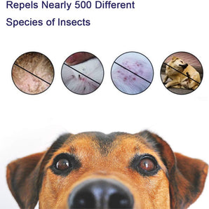 Collier anti-puces et tiques naturel GentlePaws® de 8 mois pour chiens