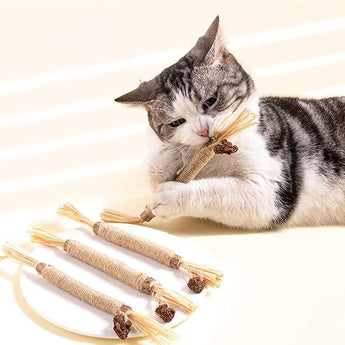 Silvervine Cat Chew Sticks (3-Pack)