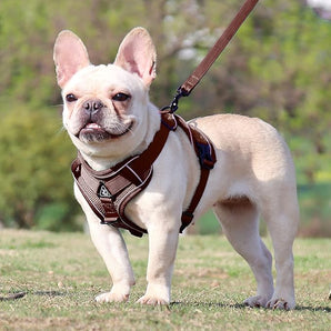 Dog Anti‑Slip Reflective Harness