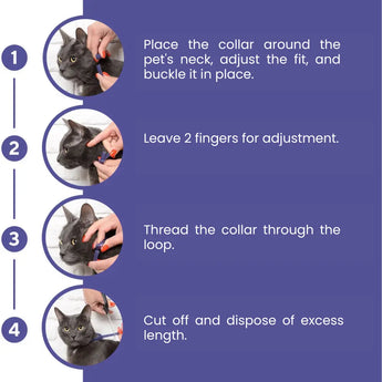 Stop Cats Fighting at Home | Natural Calming Collar for Multi-Cat Hous ...