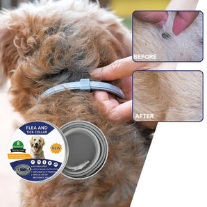 Collier anti-puces et tiques naturel GentlePaws® de 8 mois pour chiens