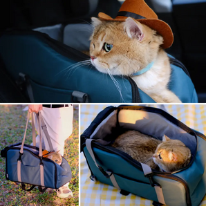 Closable Pet Car Seat