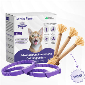 GentlePaws Cat Calming Collar (2-Pack)
