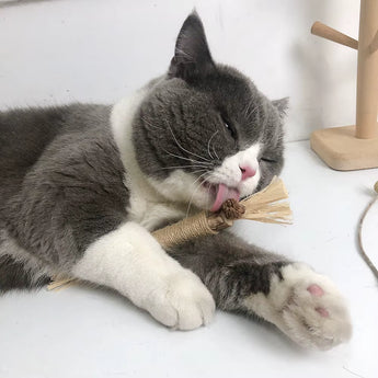 Silvervine Cat Chew Sticks (3-Pack)
