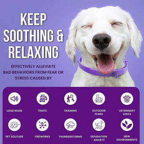 3x Pheromone Dog Calming Collars