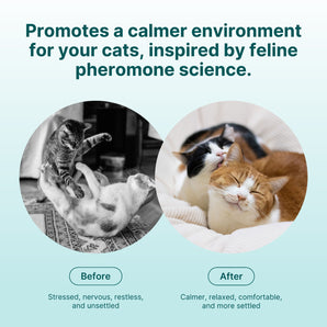 Advanced Pheromone Cat Calming Spray