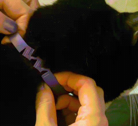 Gentle Paws halsband met breakaway veiligheidssluiting
