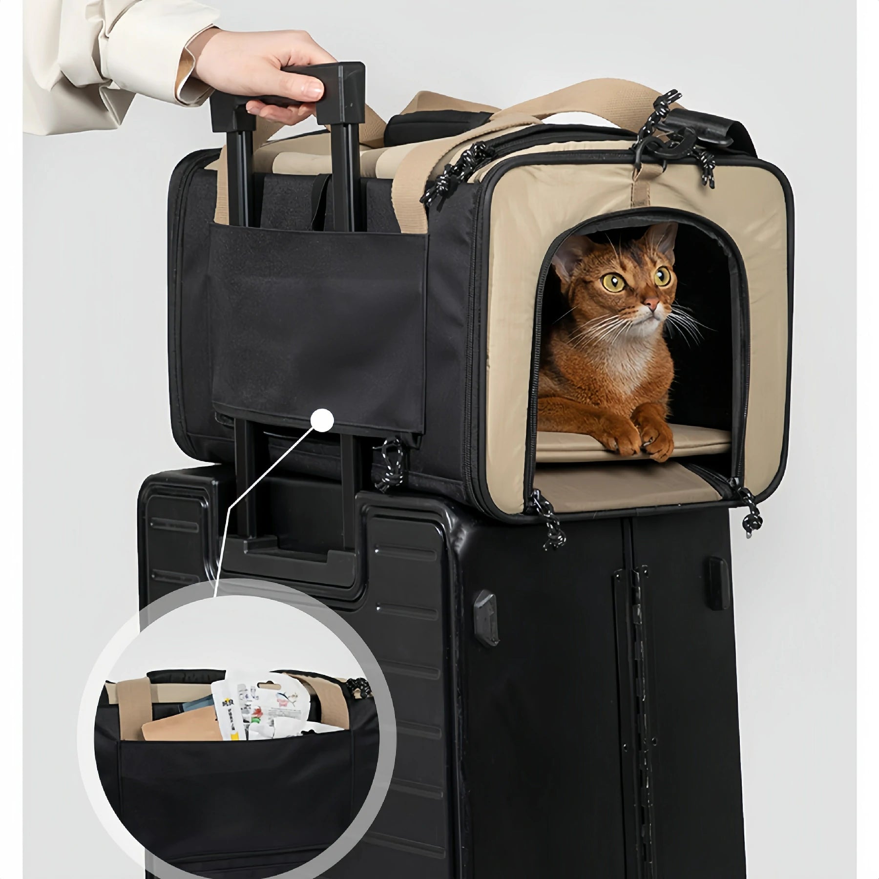 Gentle Paws™ Airline Approved Carrier