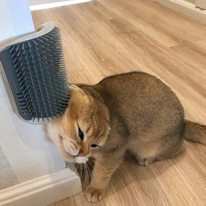 Cat Self-Massage Brush - Gentle Paws