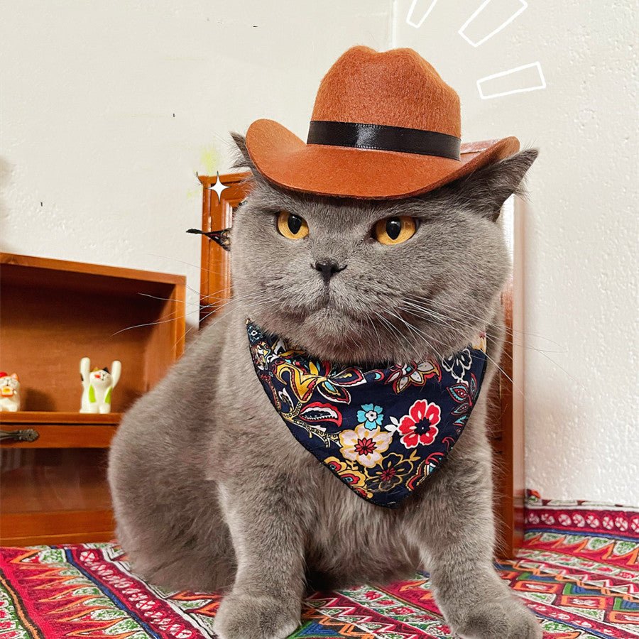 Gentle Paws™ Cowboy Hat & Scarf - Gentle Paws